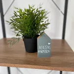 Apartmenthaus, Glueck Fuer Familien,firmen,gruppen,monteure,3 Schlafzimmer Bis 6 Personen,luxurioese Einzelbetten,hotel-tv, Wlan, Bettwaesche,handtuecher Inklusive, Nahe Ulm, Legoland,bwk,uni,ruhige Lage,autobahnnah,garten *